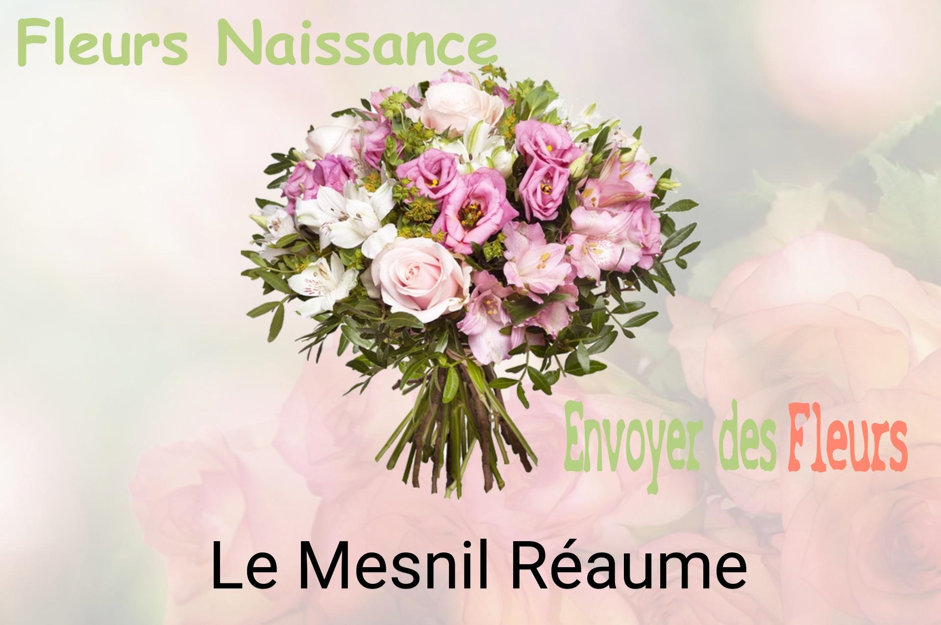 Bouquet de fleurs de naissance livré à Le Mesnil-Réaume